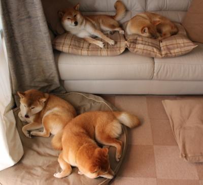 欧洲天王之战:皇马VS拜仁,战术争霸赛,皇马vs拜仁历史战绩