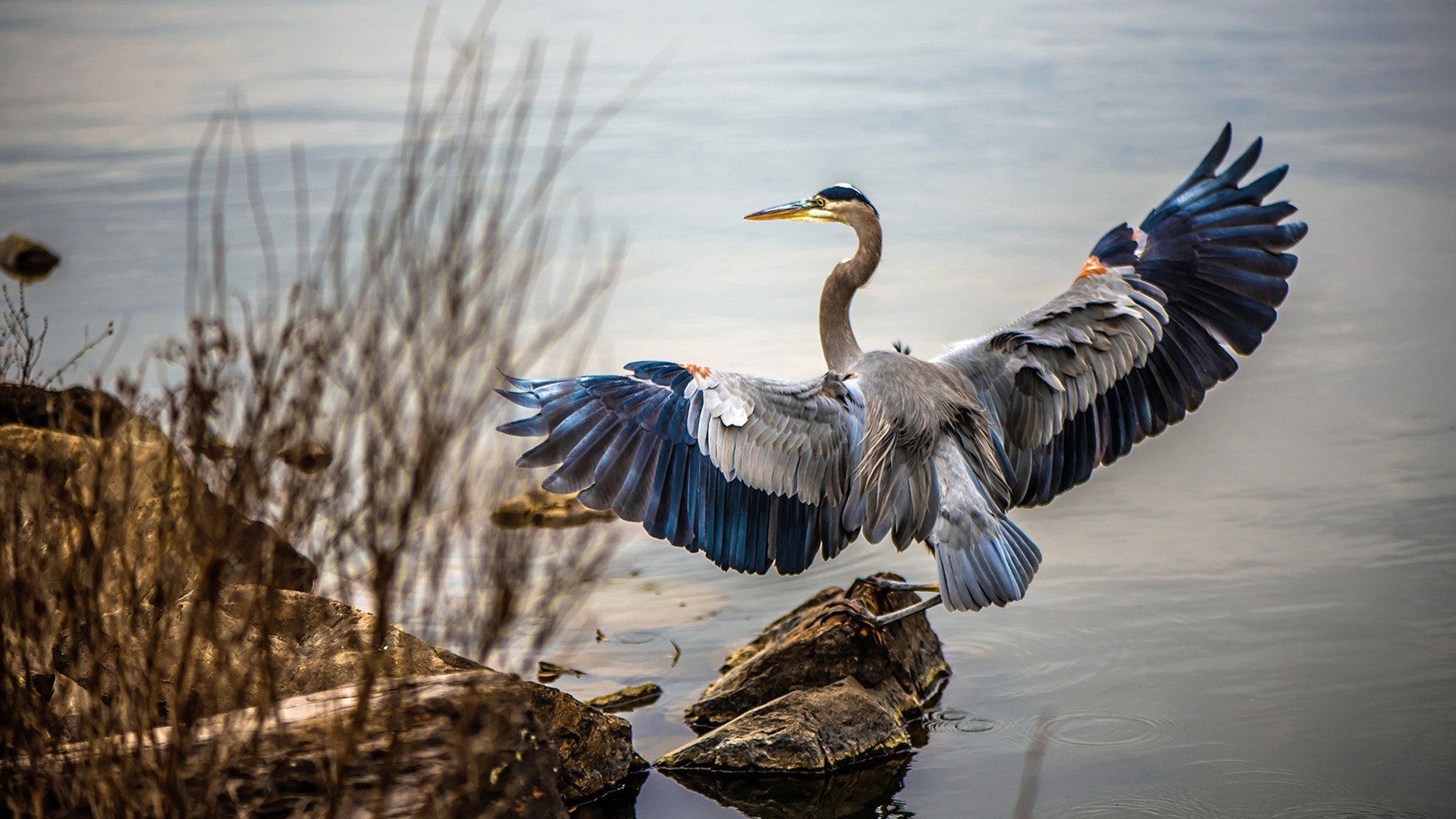 Jiu You-PSG未来防线亟需加强