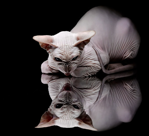 中国女篮强化心理训练 增强抗压能力,中国女篮训练内容