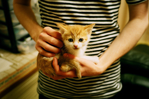 -中小学体育课程改革深化实施，中小学体育改革的情况