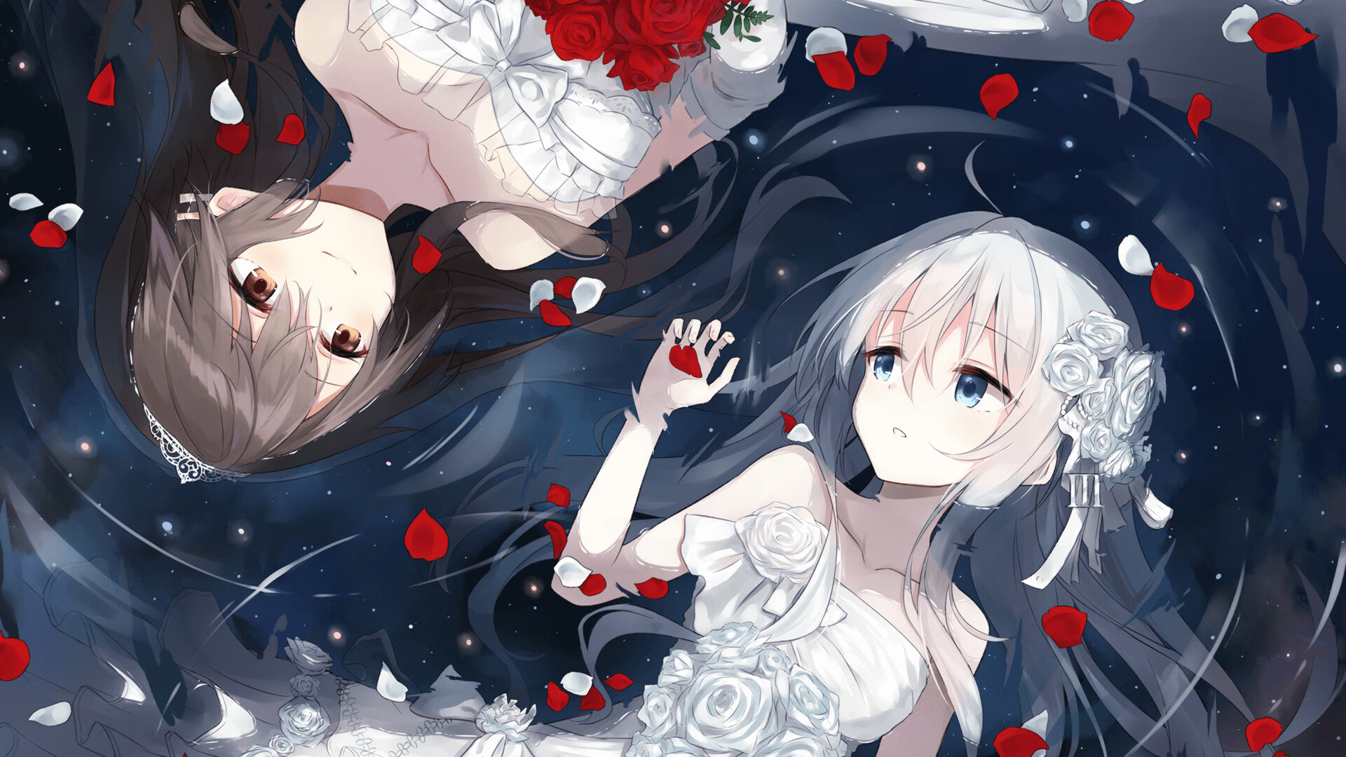 加拿大队赛制解析:团体赛中的人员调整与战术创新,加拿大队队员