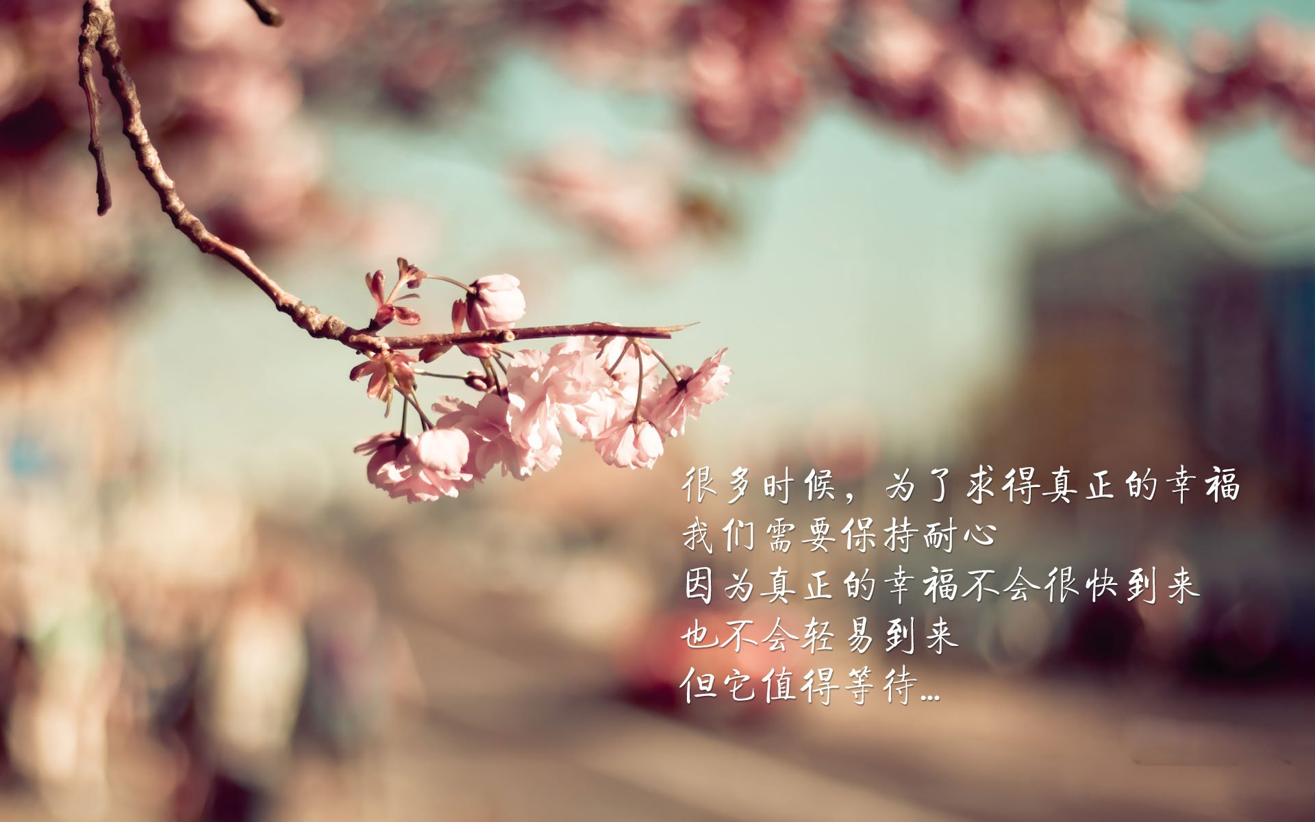 波兰队在国际乒联混合团体世界杯中的整体战术与技术分析，波兰乒乓球队