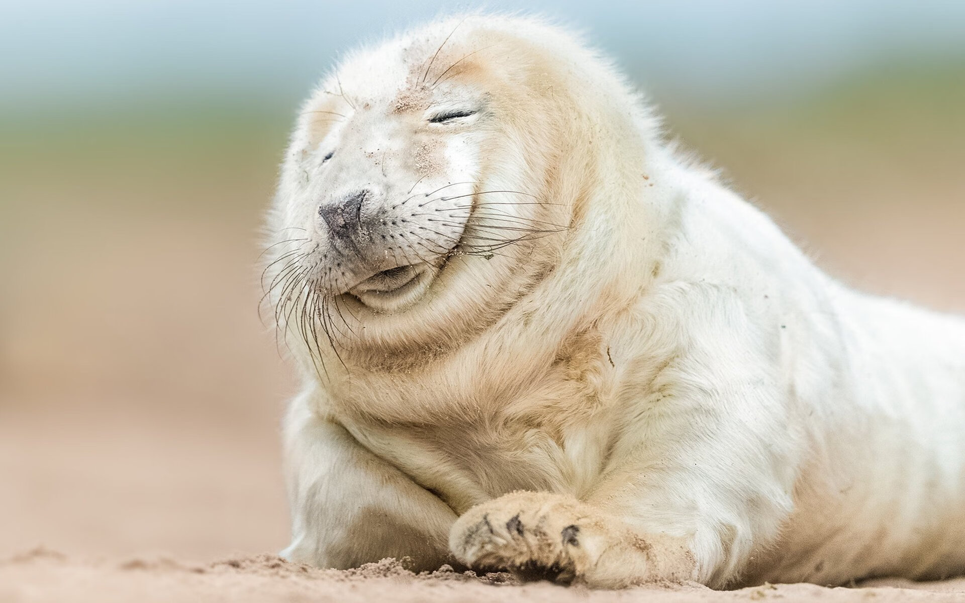 罗马尼亚队赛制探讨：如何通过合理赛制实现团体协作与心理调节