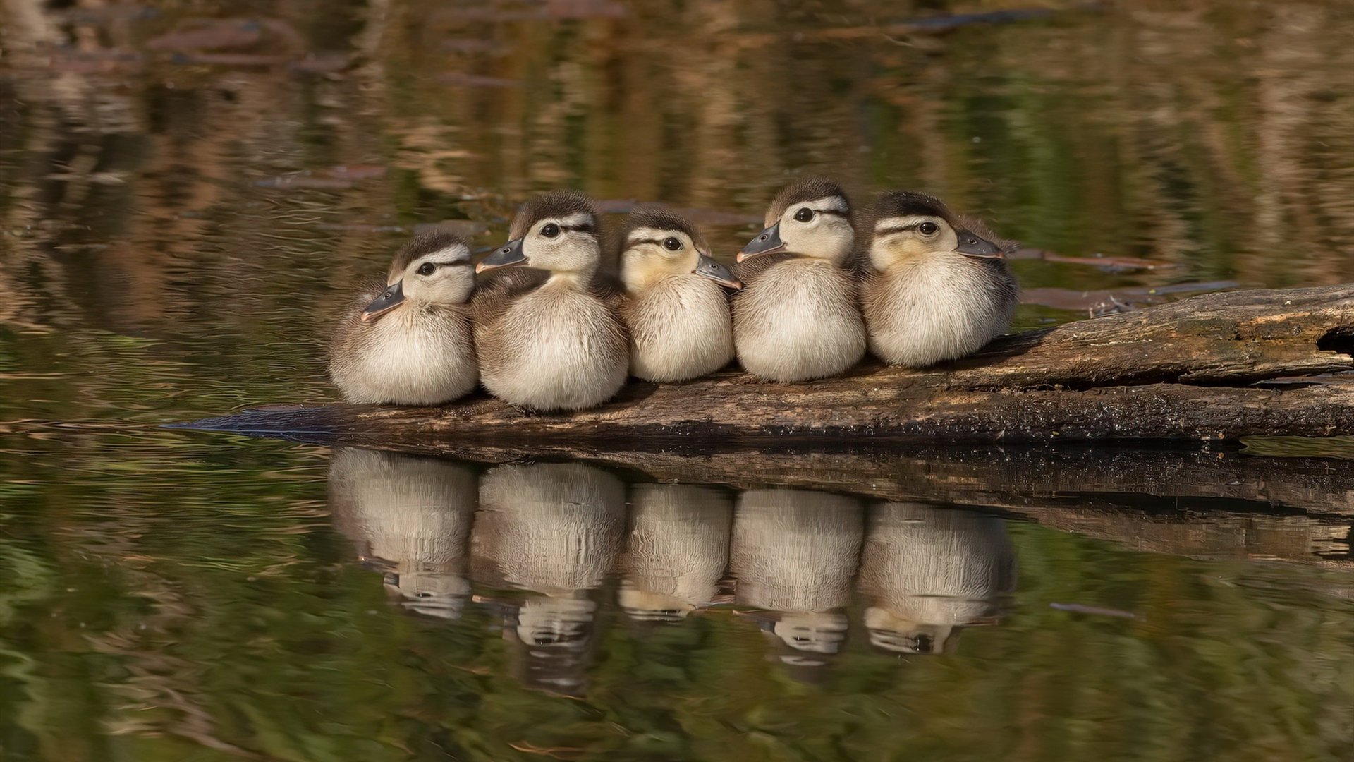 世界杯令人热血沸腾的瞬间：不可思议的逆袭，世界杯片段