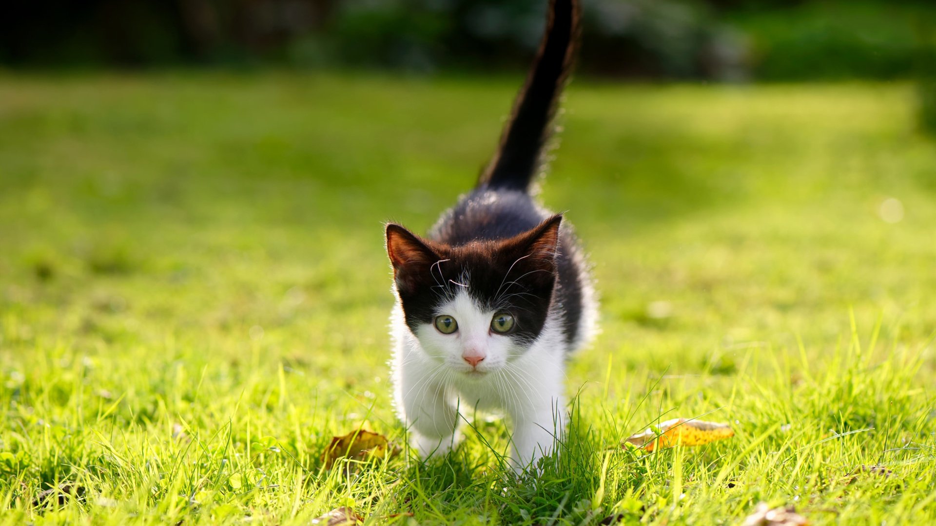 体育教育与学科融合课程落地多所高校,体育多学科融合案例