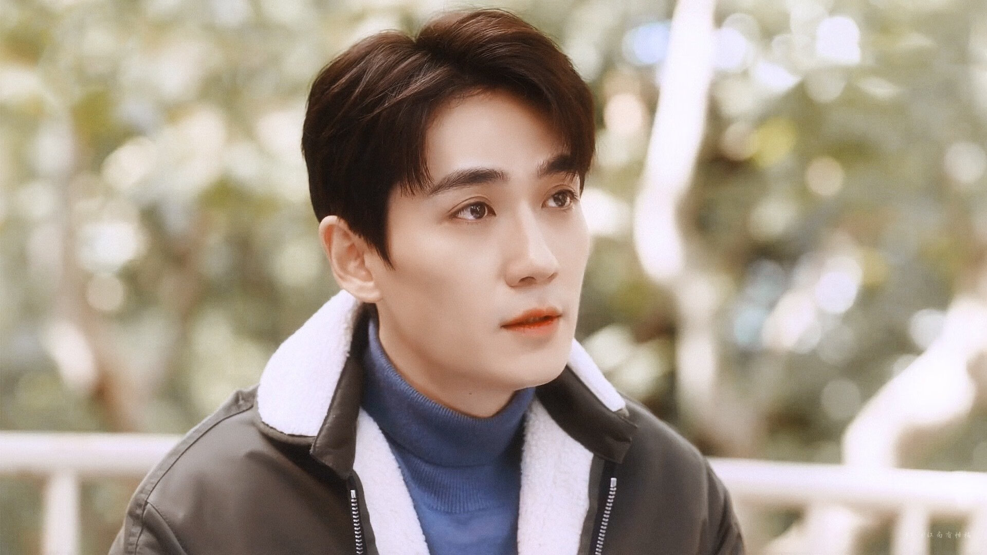 德甲策略变革：变化多样，精彩纷呈！，德甲形势分析