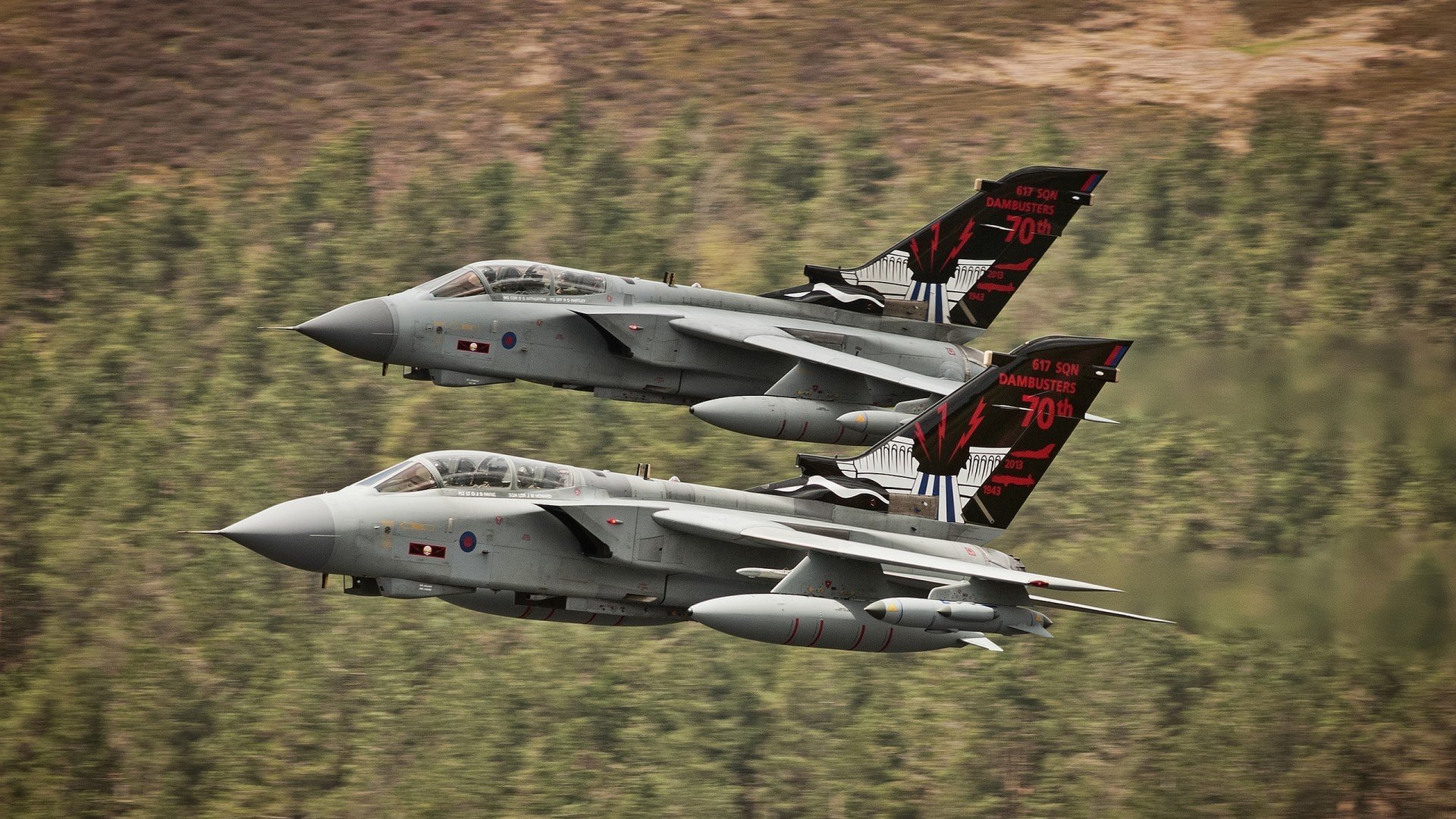 自由泳接力突尼斯男队配合默契，4×200自由泳接力世界记录