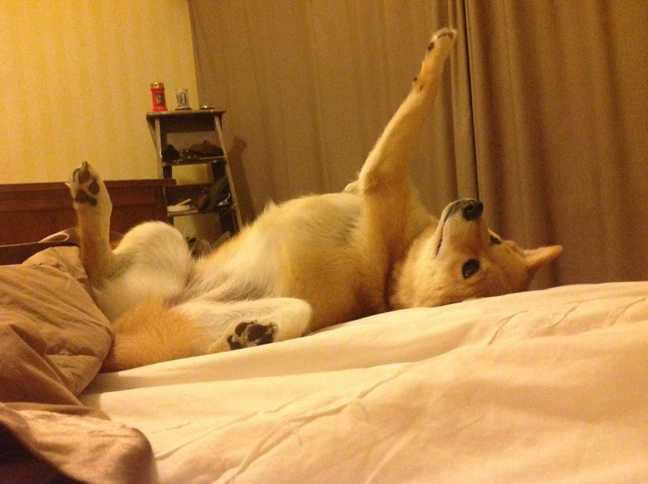 骑士控卫通过专项视频学习弥补防守漏洞，骑士控球后卫是谁