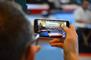 九游官方娱乐-中国篮球联赛市场细分与营销研究，篮球联赛介绍